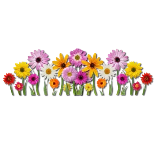 Têtu - Sticker 22