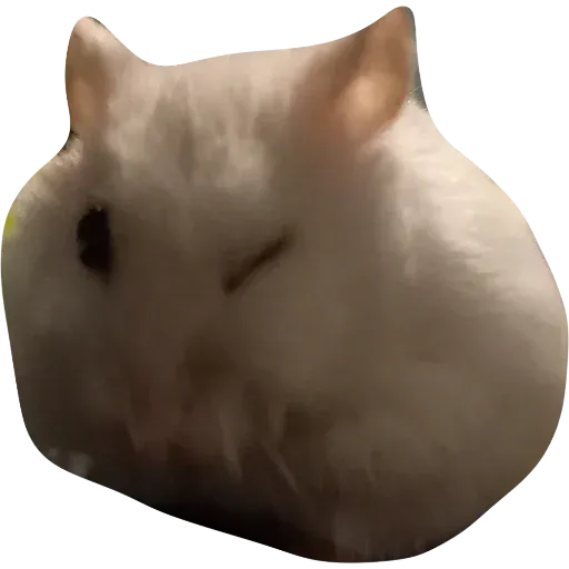 Sammy - Sticker 15