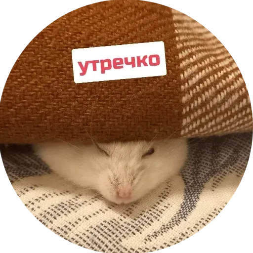 Sammy - Sticker 12