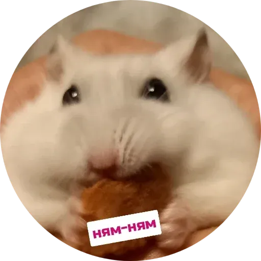 Sammy - Sticker 16