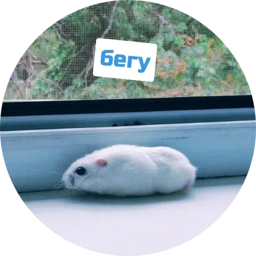 Sammy - Sticker 19