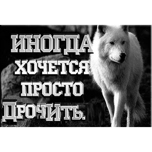 Bitmka - Sticker 14