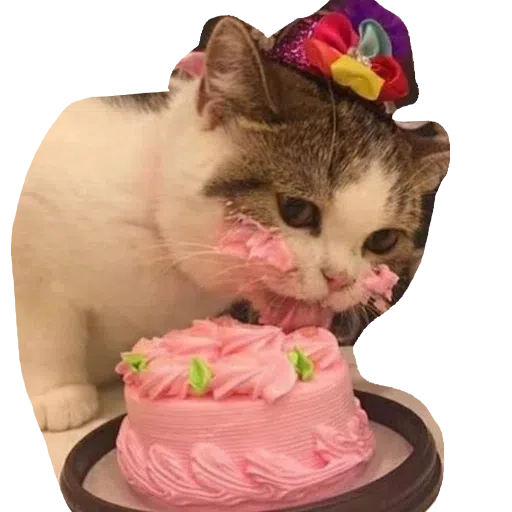 CatFaces - Sticker 23