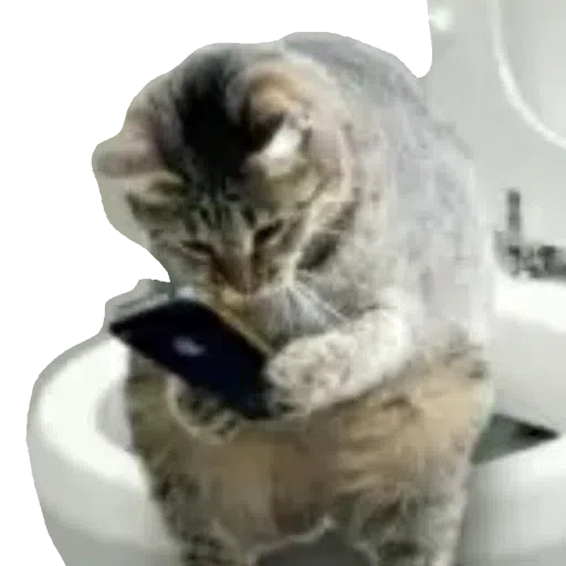 CatFaces - Sticker 28