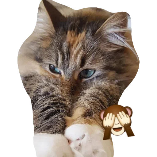 CatFaces - Sticker 21