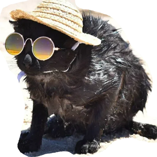 CatFaces - Sticker 15