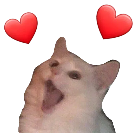 CatFaces - Sticker 10