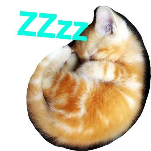 CatFaces - Sticker 18