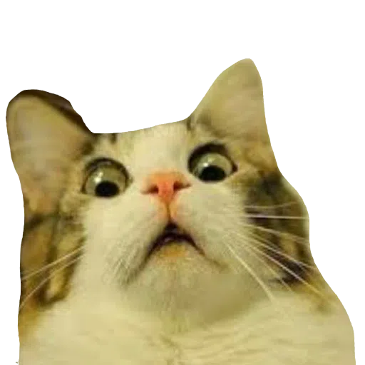 CatFaces - Sticker 30