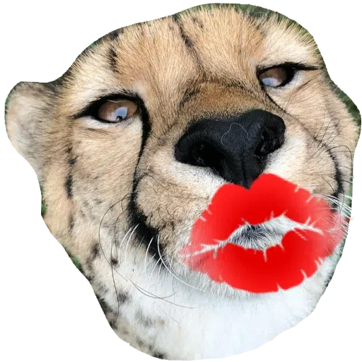 CatFaces - Sticker 9