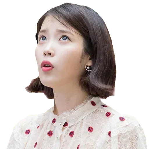 IU - Sticker 13