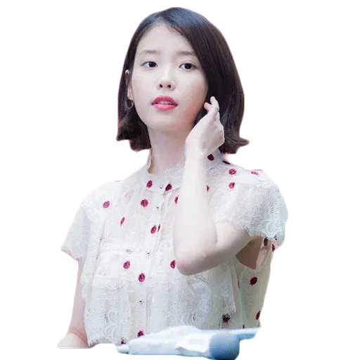 IU - Sticker 11