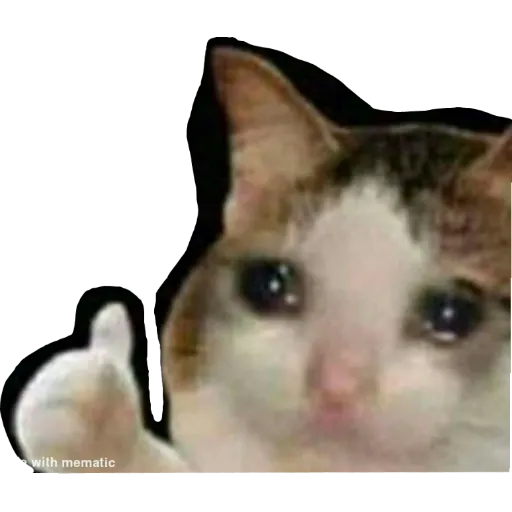 meme - Sticker 26