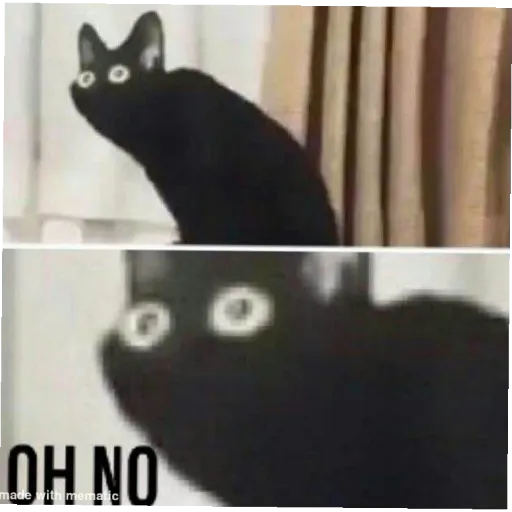 meme - Sticker 20