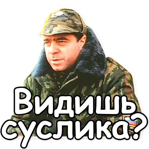 ДМБ - Sticker 25