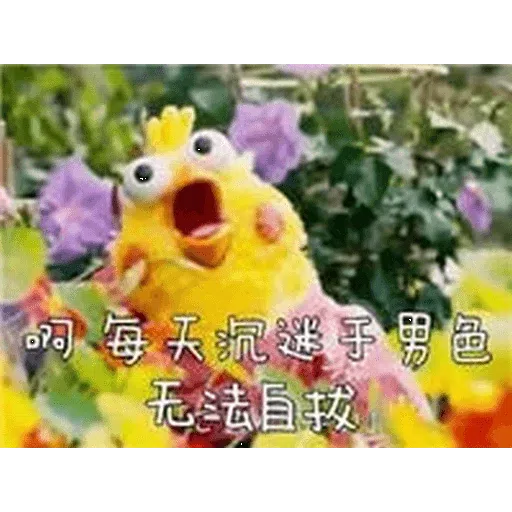 chick - Sticker 23