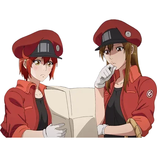 Saibou - Sticker 24