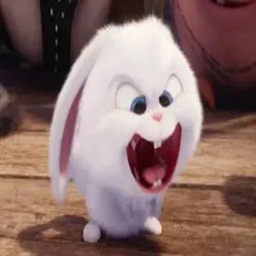 bunny reactions - Sticker 21