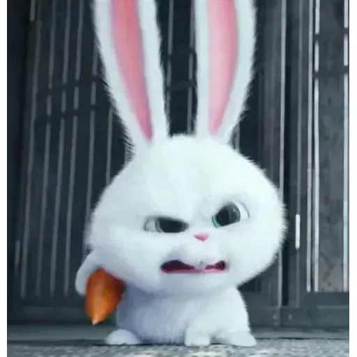 bunny reactions - Sticker 9