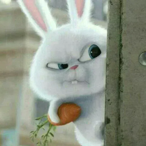 bunny reactions - Sticker 20