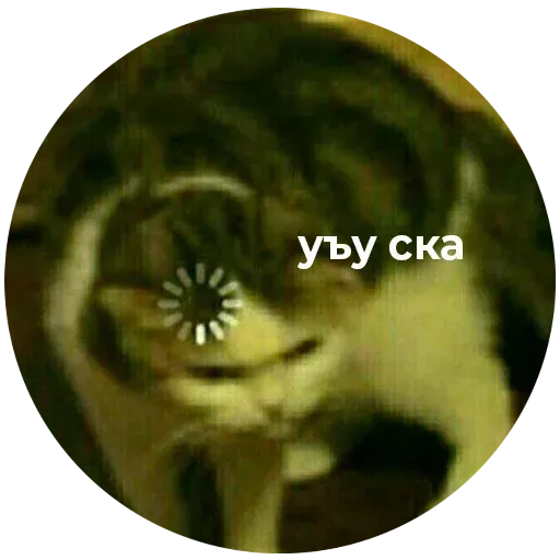 aleshaanimals2020 - Sticker 29