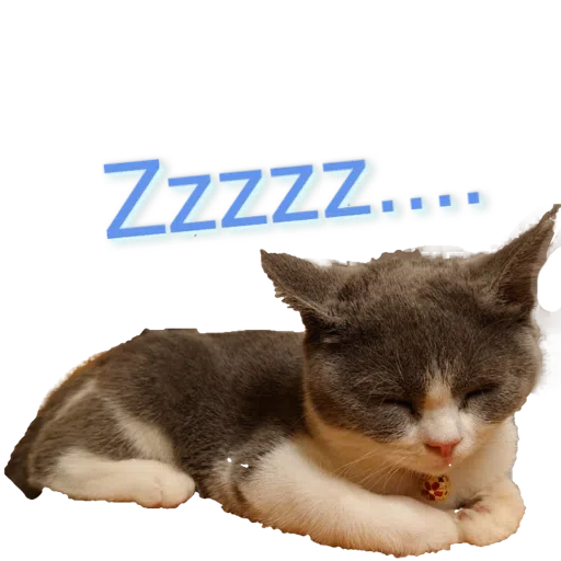 撳寶羅貳 - Sticker 12