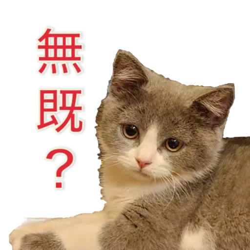 撳寶羅貳 - Sticker 28
