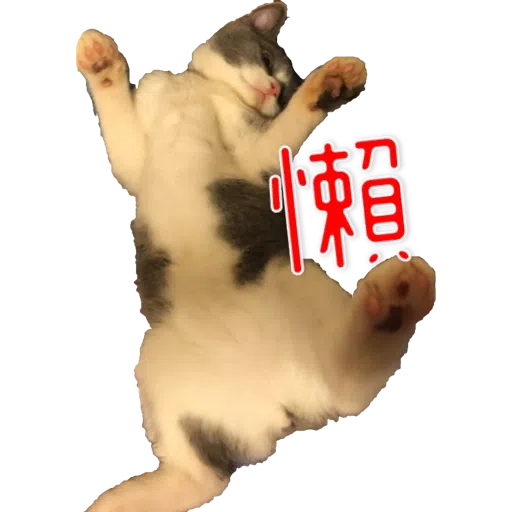撳寶羅貳 - Sticker 19