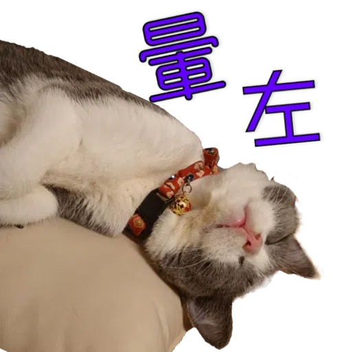 撳寶羅貳 - Sticker 13