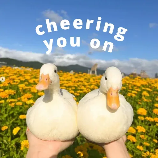 duck 4 - Sticker 18
