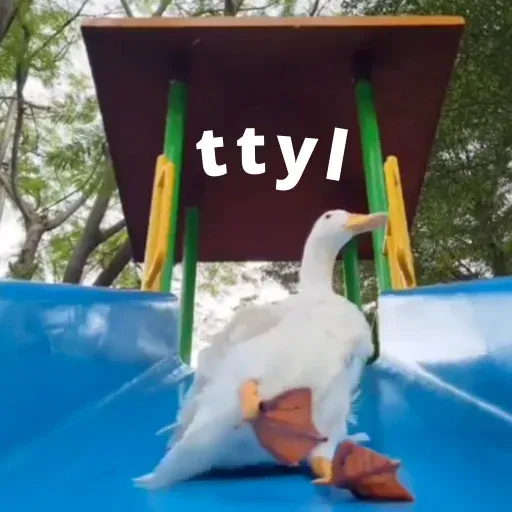 duck 4 - Sticker 17
