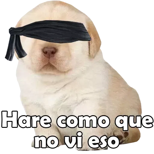 Stickers Risas - Sticker 24