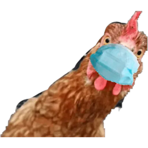 Stickers Risas - Sticker 23