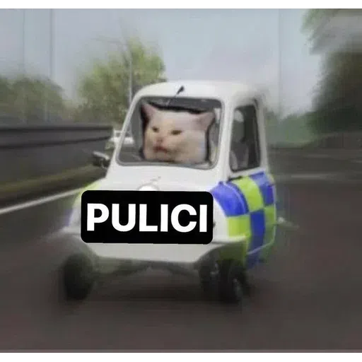 Memes3 - Sticker 15
