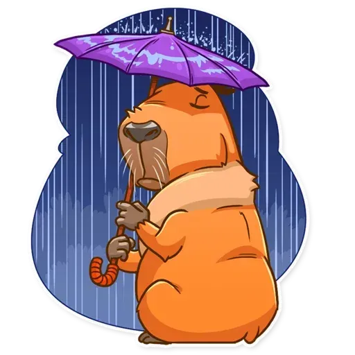 Mr. Capybara - Sticker 17
