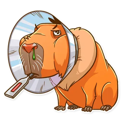 Mr. Capybara - Sticker 24