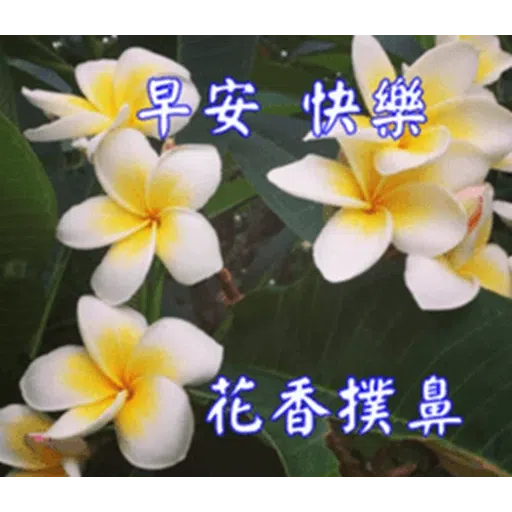 長輩圖 - Sticker 25
