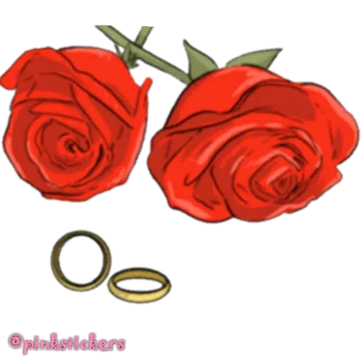 N - Sticker 13