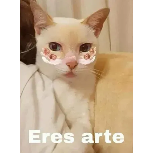 Gatitos - Sticker 9