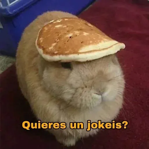 Gatitos - Sticker 29