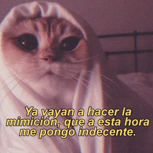 Gatitos - Sticker 30