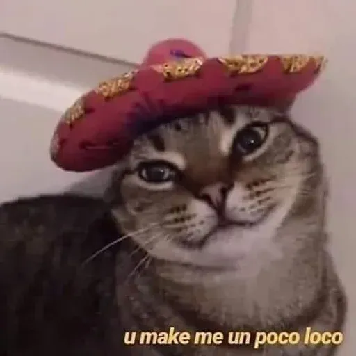 Gatitos - Sticker 12