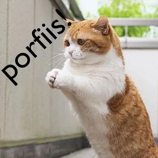 Gatitos - Sticker 26