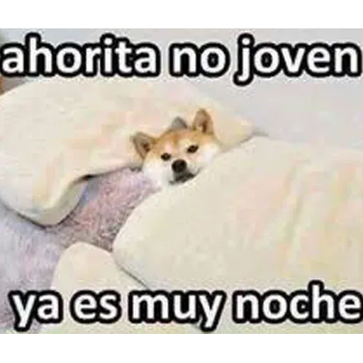Gatitos - Sticker 25