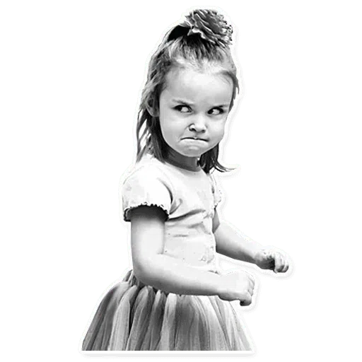 Renoir's mems - Sticker 29