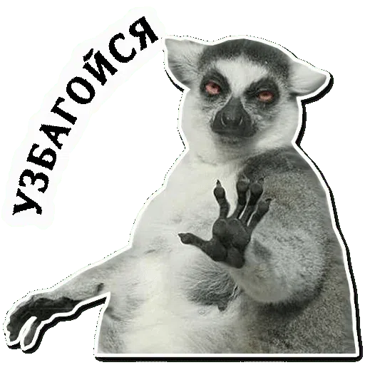 Renoir's mems - Sticker 20