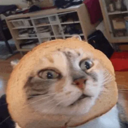 more cats with threatening aura - Sticker 17