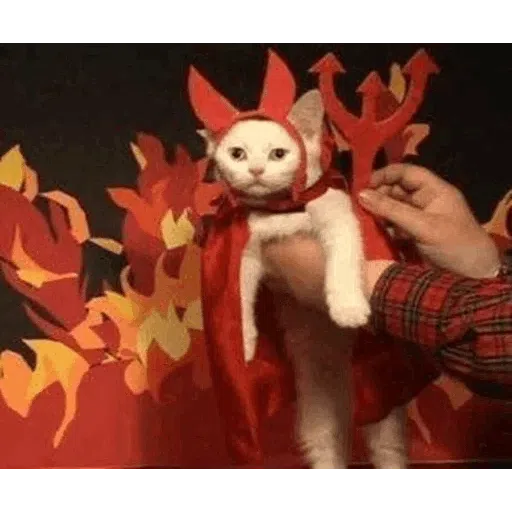 more cats with threatening aura - Sticker 30