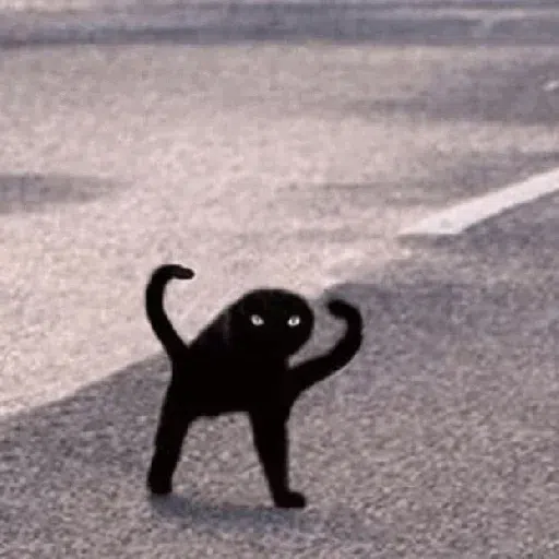 more cats with threatening aura - Sticker 28