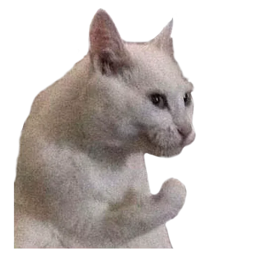 1.1 - Sticker 17